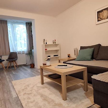 Enci House Apartment Târgu-Mureş Exteriér fotografie