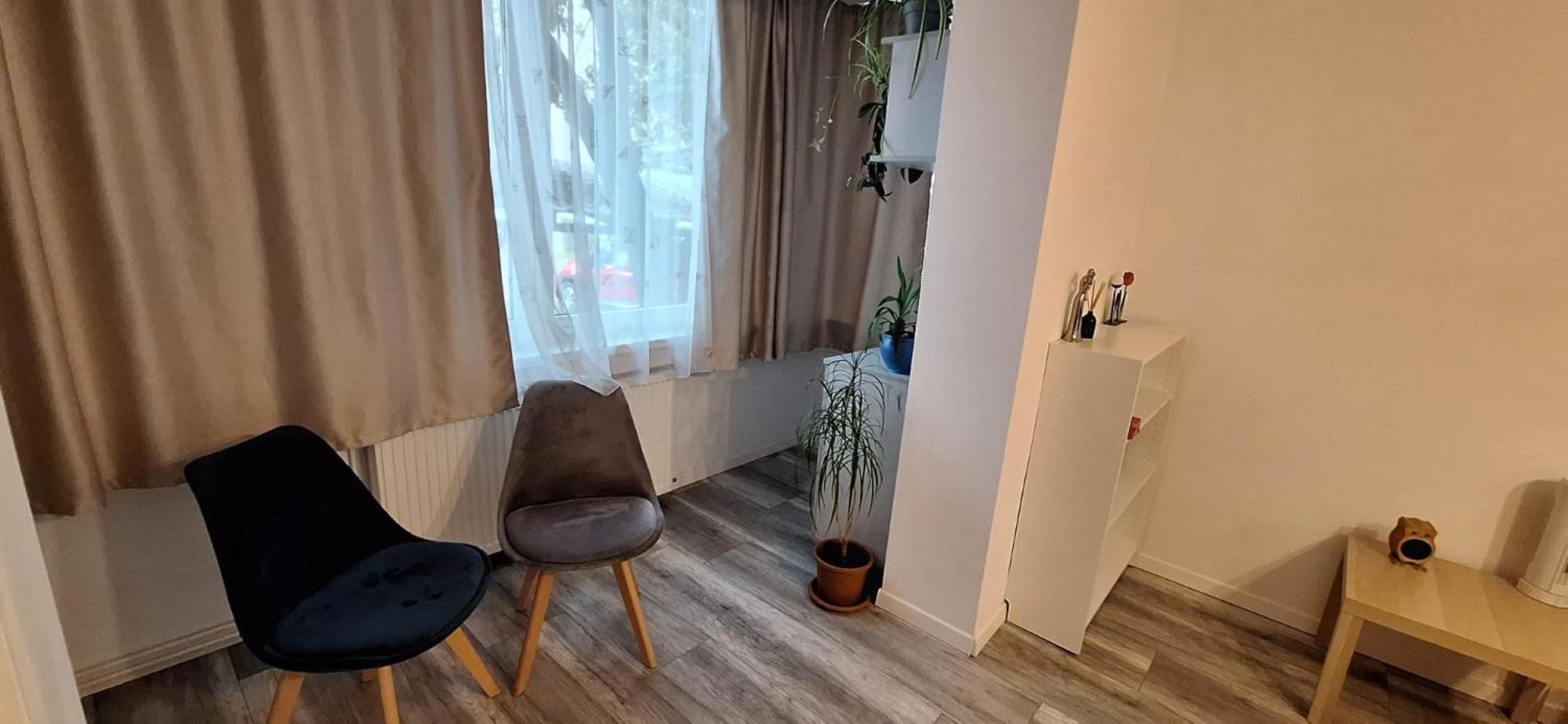 Enci House Apartment Târgu-Mureş Exteriér fotografie